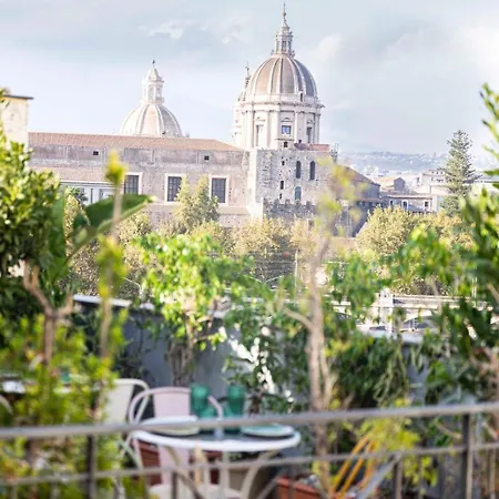 Bed and breakfast Rooftop53